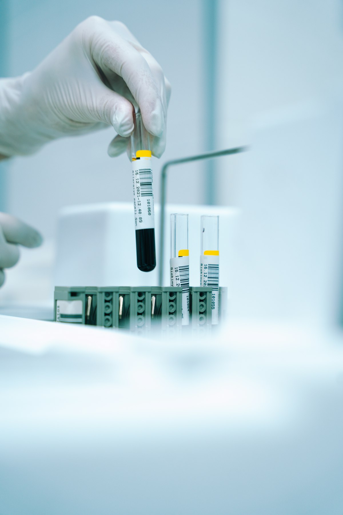 Mão enluvada a colocar um tubo de amostra num suporte de laboratório