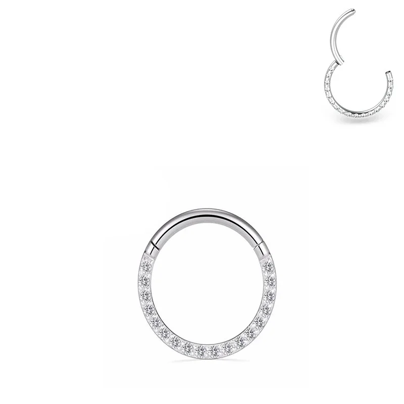 Hinged 316 Stainless Steel Pavé CZ Segment Hoop PVD Ring