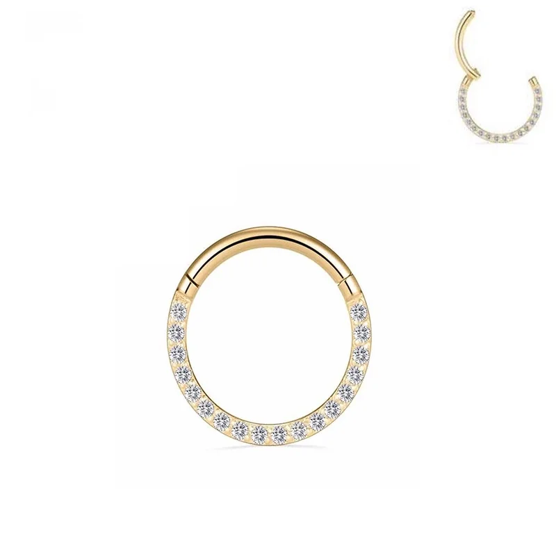 Hinged 316 Stainless Steel Pavé CZ Segment Hoop Ring