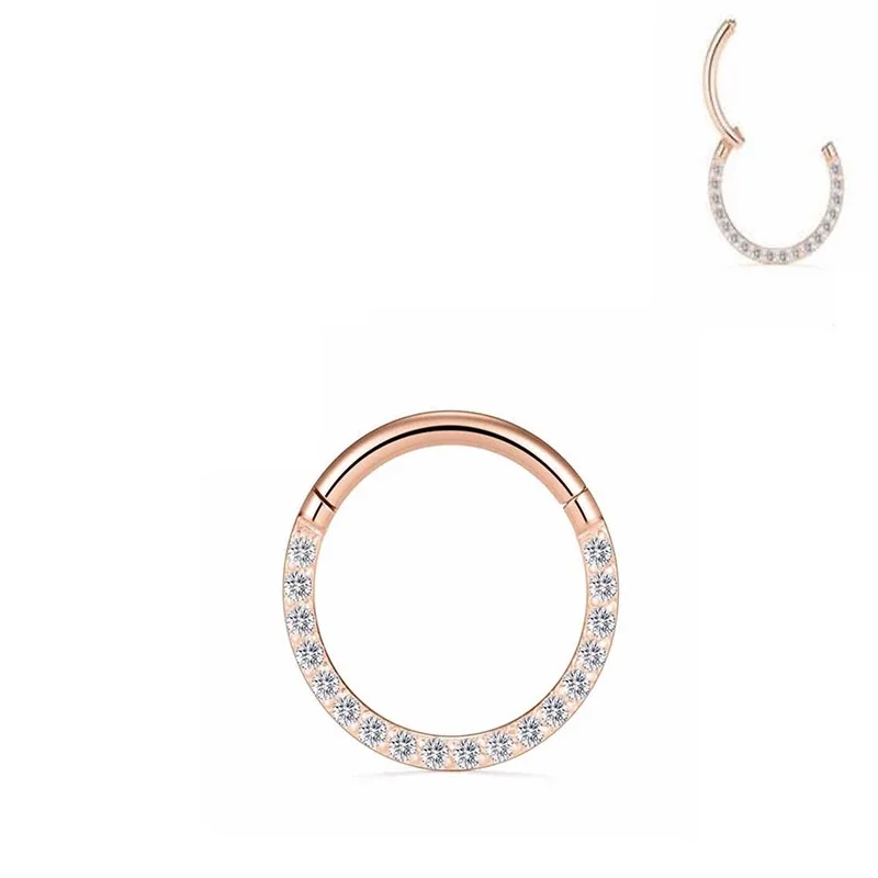 Hinged 316 Stainless Steel Pavé CZ Segment Hoop Ring