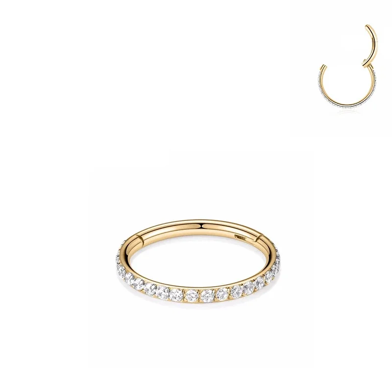 Hinged 316 Stainless Steel Pavé CZ Segment Hoop Ring