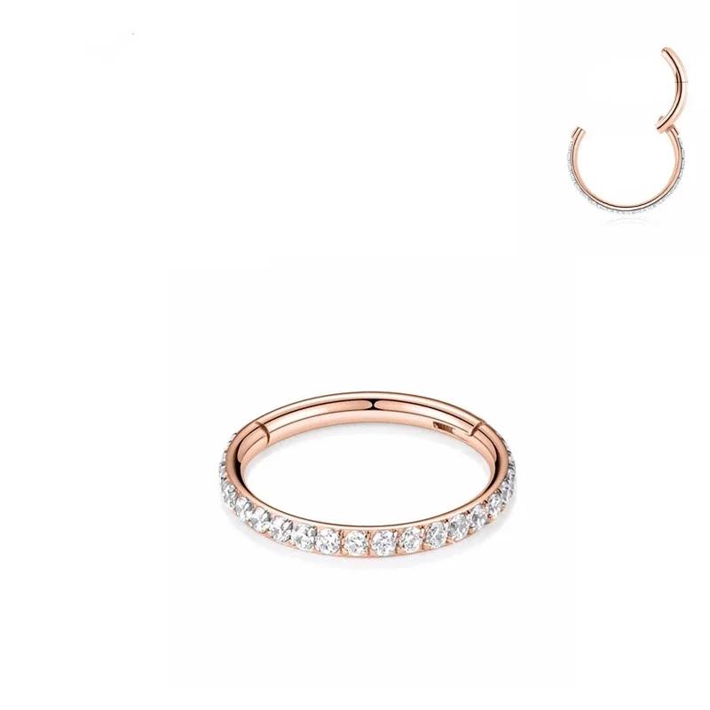 Hinged 316 Stainless Steel Pavé CZ Segment Hoop Ring