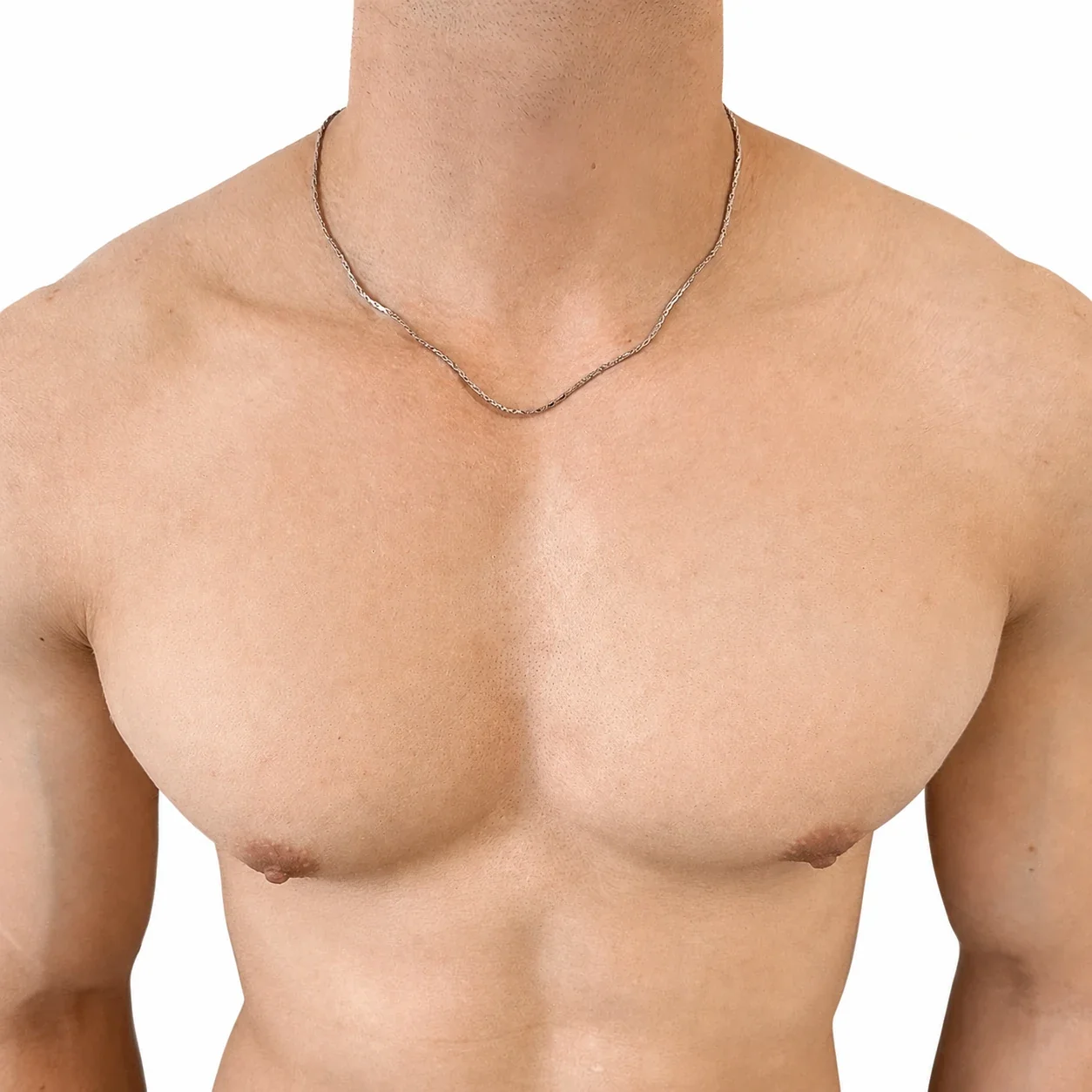 Sleek Stainless Steel Silver-Tone Wheat Chain Necklace