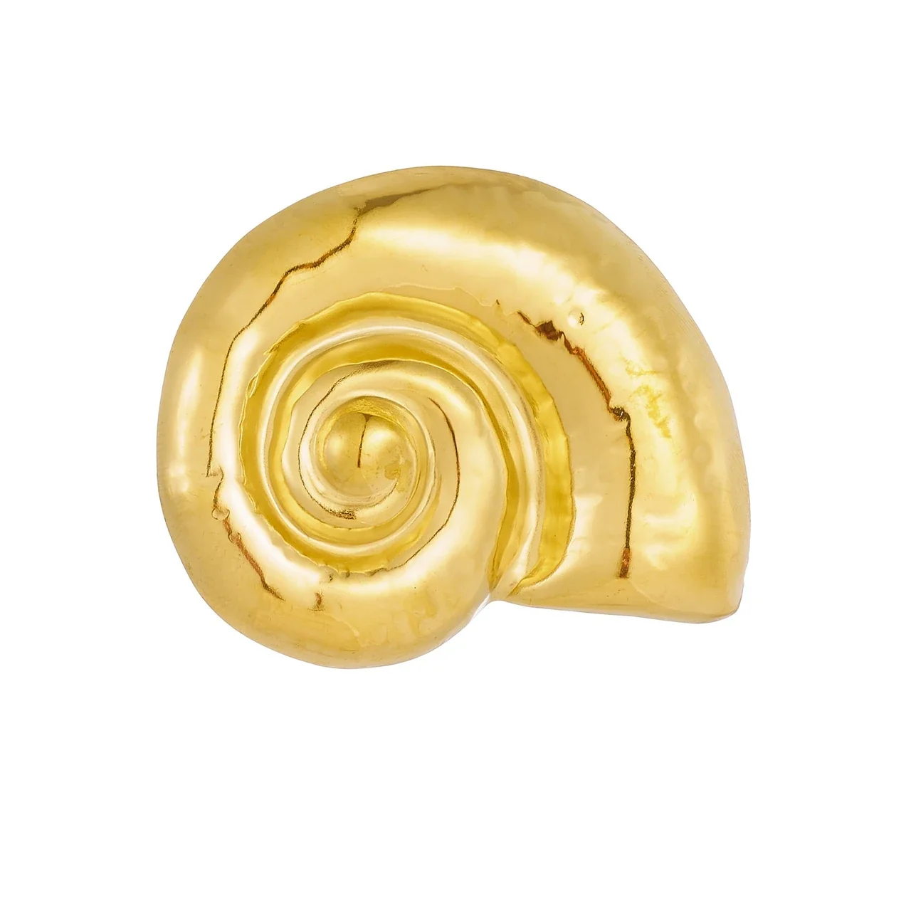 Brooch: Nautilus Shell Spiral Relief Stainless Steel