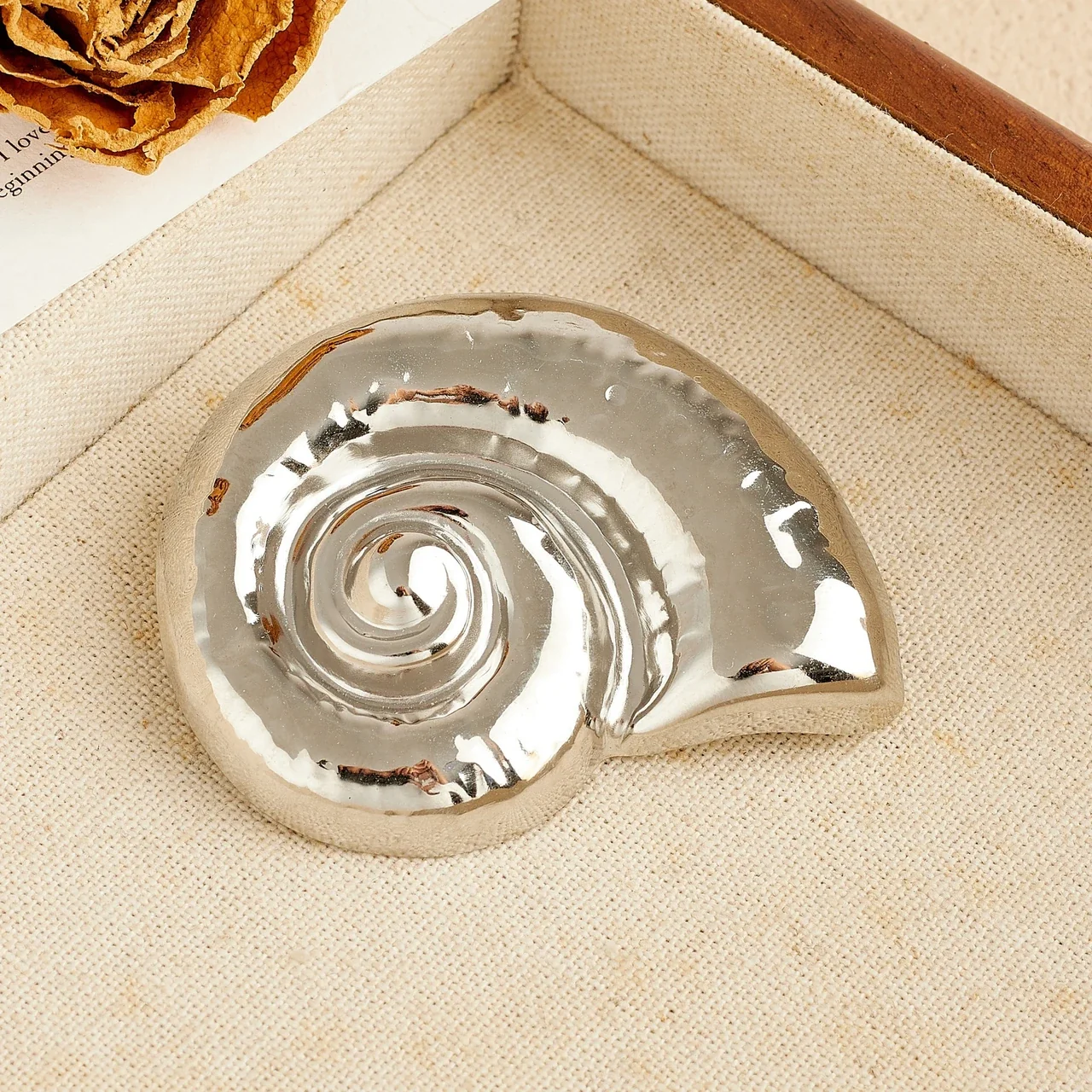 Brooch: Nautilus Shell Spiral Relief Stainless Steel