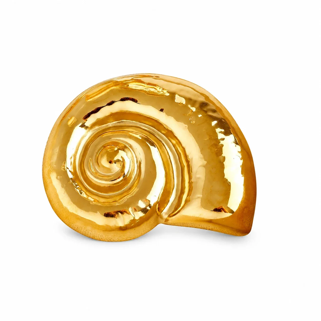Brooch: Nautilus Shell Spiral Relief Stainless Steel - Gold