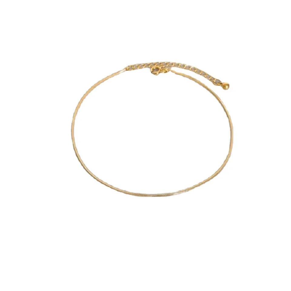 Round Snake Chain Anklet in Gold-Tone Stainless Steel