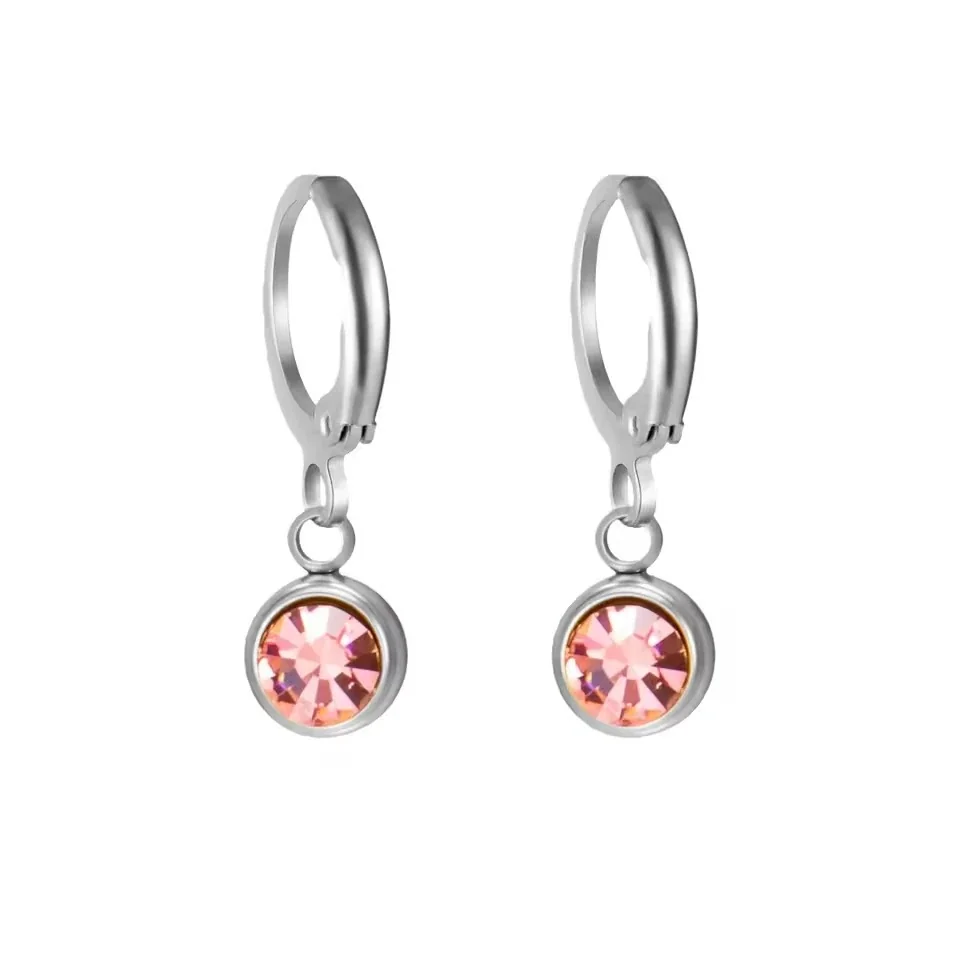 Petite Stainless Steel Round Bezel Crystal Huggie Earrings