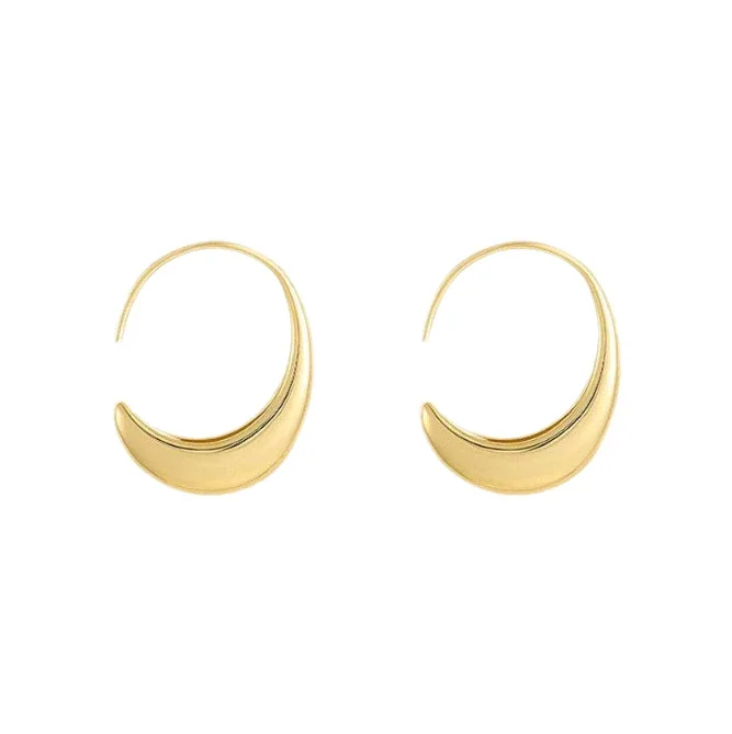 Sculptural 316 Stainless Steel Crescent Hoop Earrings
