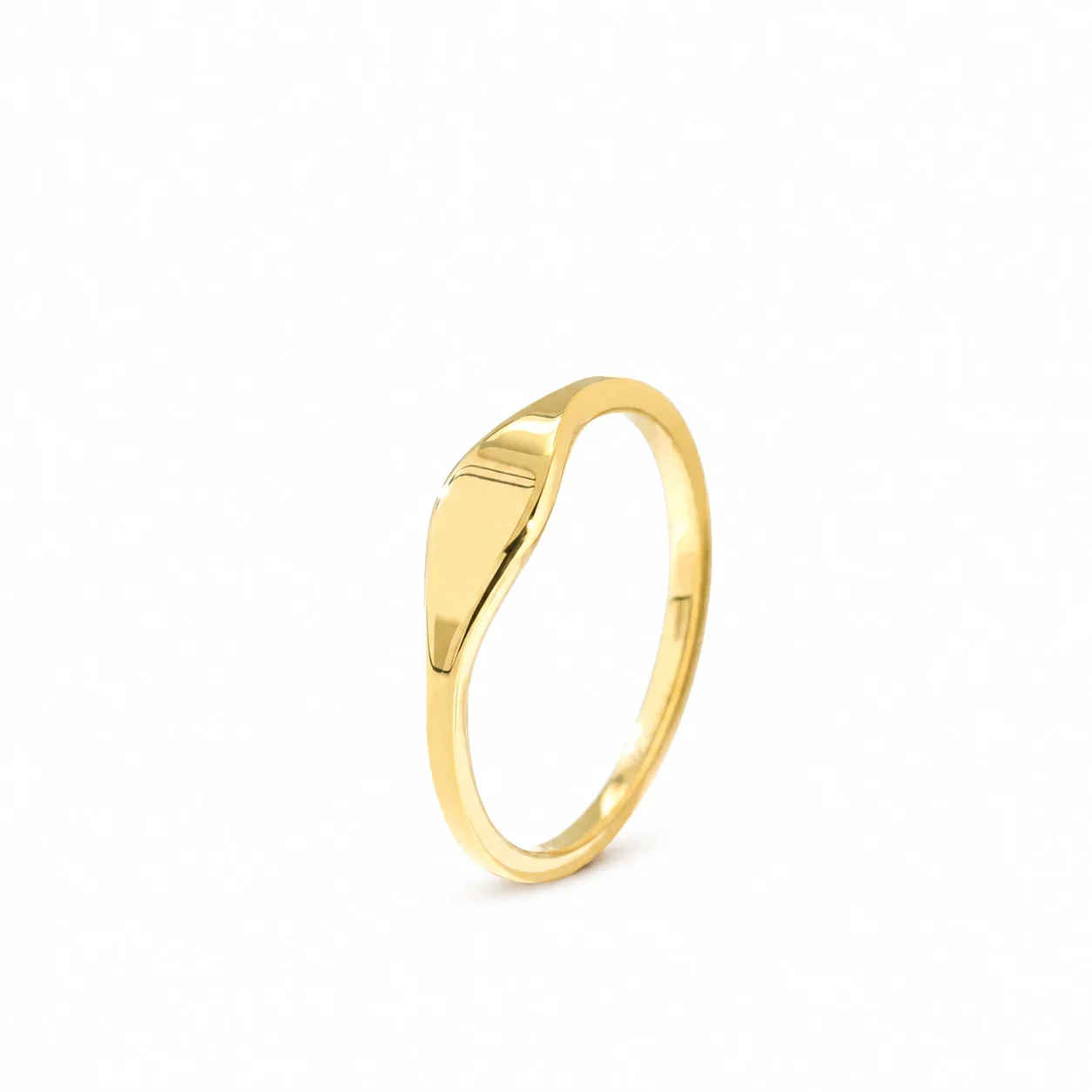 Signet Ring with Asymmetric Oval Face, Gold-Plated Steel