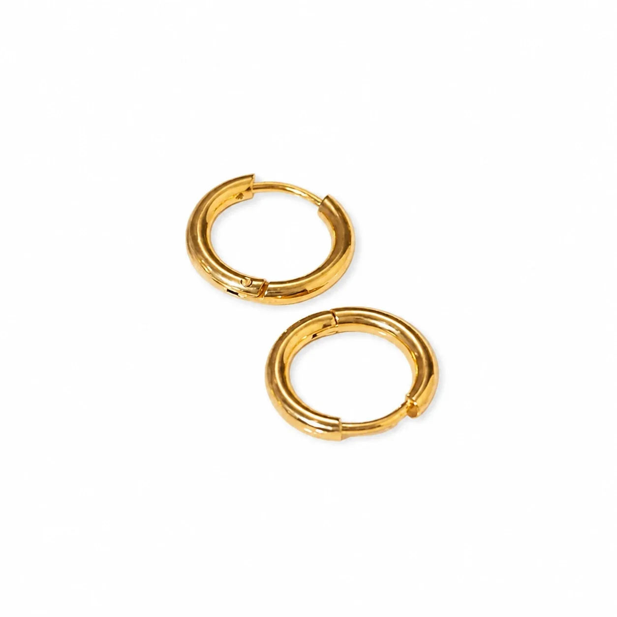 Hoop Earrings with Chunky Tube Hinge 316 Stainless Steel PVD