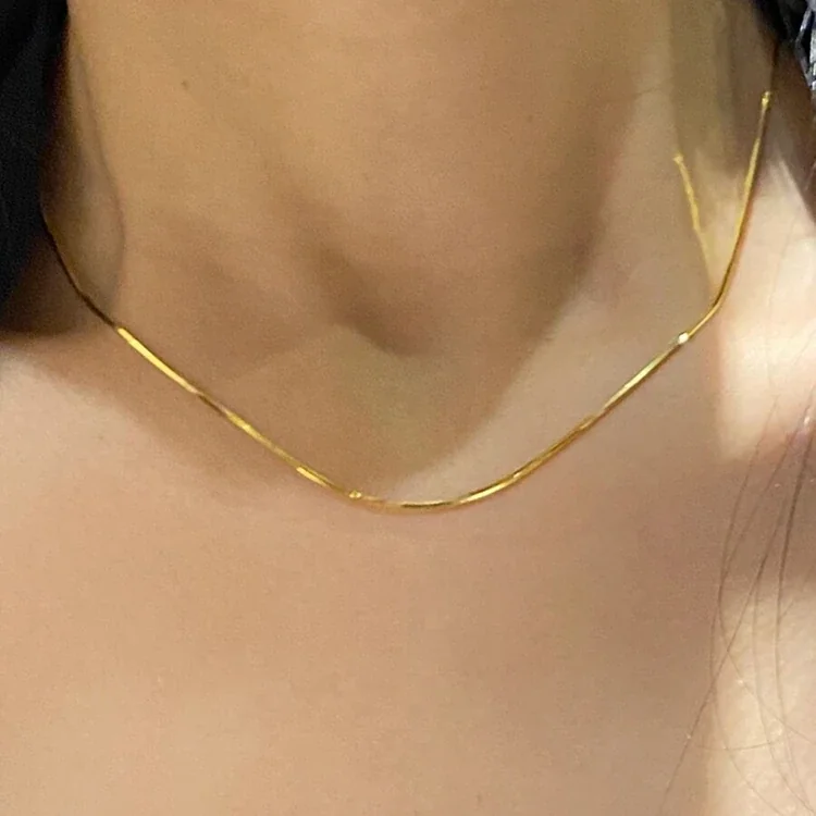 Foto del producto: Collar de cadena serpiente con extensión, acero inoxidable