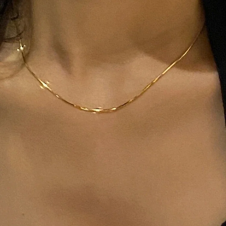 Foto del producto: Collar de cadena serpiente con extensión, acero inoxidable