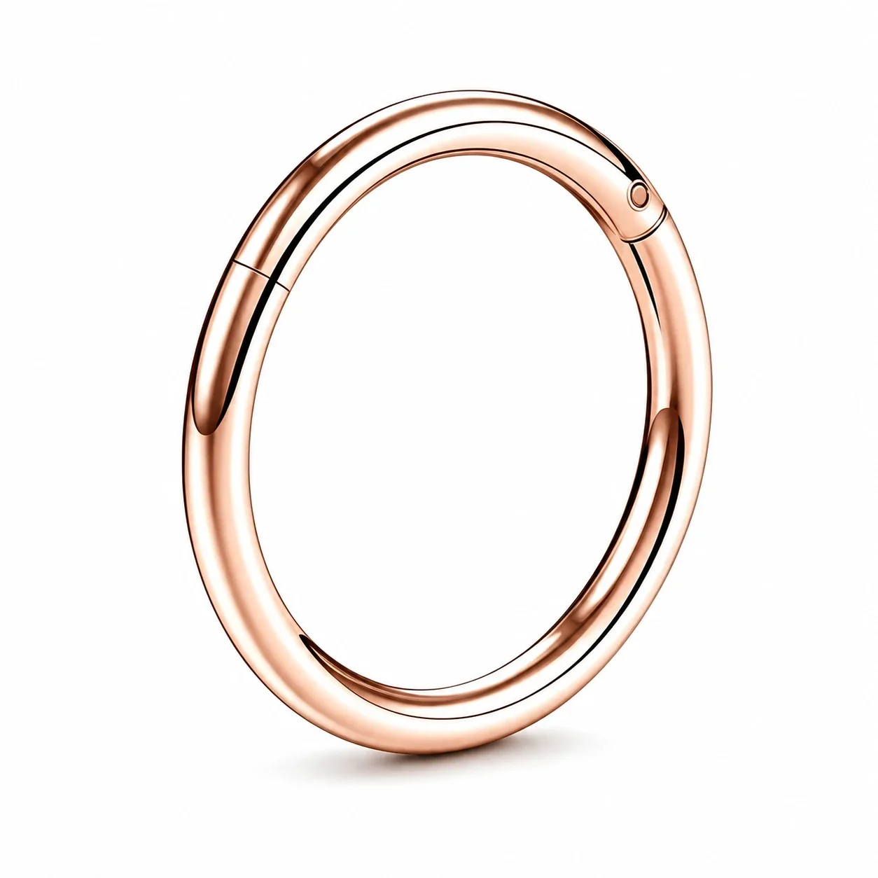 Sleek 316 Stainless Steel Round Clicker Hoop Earrings