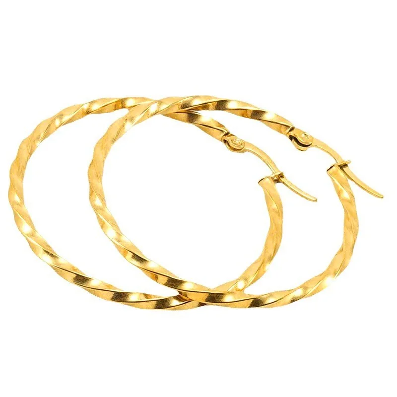 Radiant Stainless Steel 18K Gold PVD Twisted Hoop Earrings