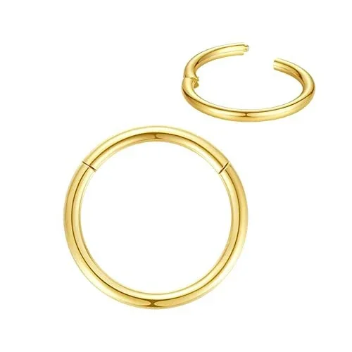 Seamless 316 Stainless Steel Hinged Segment Hoop Earrings - Gold