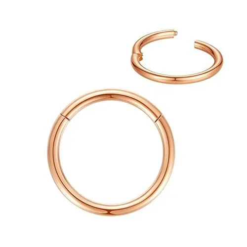 Seamless 316 Stainless Steel Hinged Segment Hoop Earrings - Rose Gold
