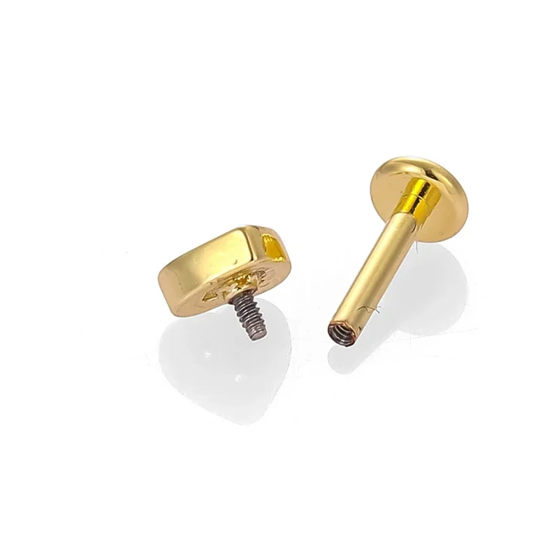 Playful 316 Stainless Steel Dolphin CZ Stud Earring
